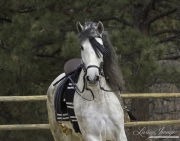 UnderSaddle-244