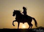 purebred Andalusian Stallion doing Passage at Sunset in Ojai, CA