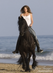 Summerland Beach, Ojai, CA, horse purebred Friesian stallion ridden by woman on the beach