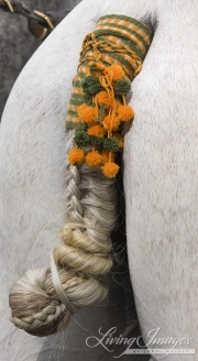 Sevilla, Spain, Carriages Exhibition, Purebred horses, tail in traditional knot