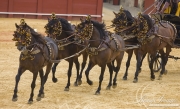 Sevilla, Spain, Carriages Exhibition, Purebred horses, bay Andalusian mares