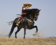 Black Andalusian stallion galloping in Ojai, CA