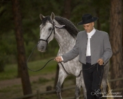 purebred grey Andalusian mare with handler in authentic Spanish attire