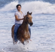 Ojai, Arabian gelding, ocean, boy riding