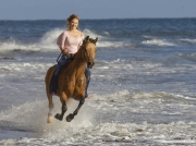 Ojai, Arabian gelding, ocean, girl riding