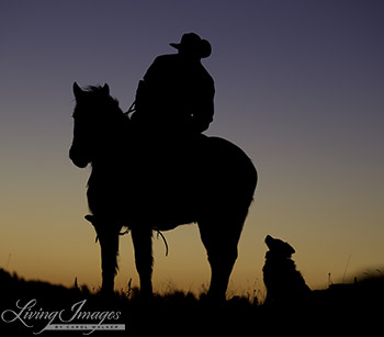 The Cowboy and His Dog